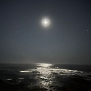 Meet your Posher, Jenn